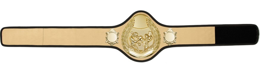 THAI BOXING CHAMPIONSHIP BELT-PRO301/G/TBOG- 10 + COLOURS THAI BOXING CHAMPIONSHIP BELT-PRO301/G/TBOG- 10 + COLOURS